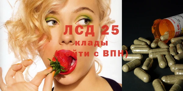 дурь Алексин