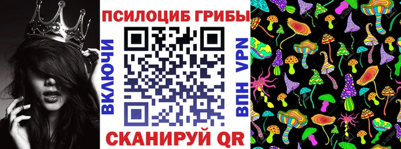 Галлюциногенные грибы Psilocybe  Кирс 